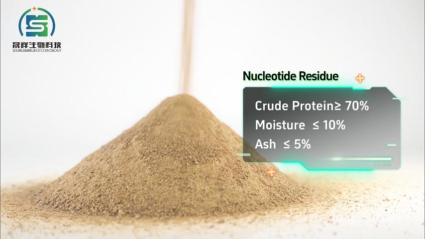 Nucleotide Residue